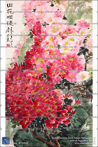 Trail Studio Professional Artwork Photography/ Digitization Service